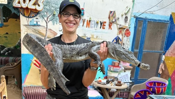 Crocodiles in Aswan